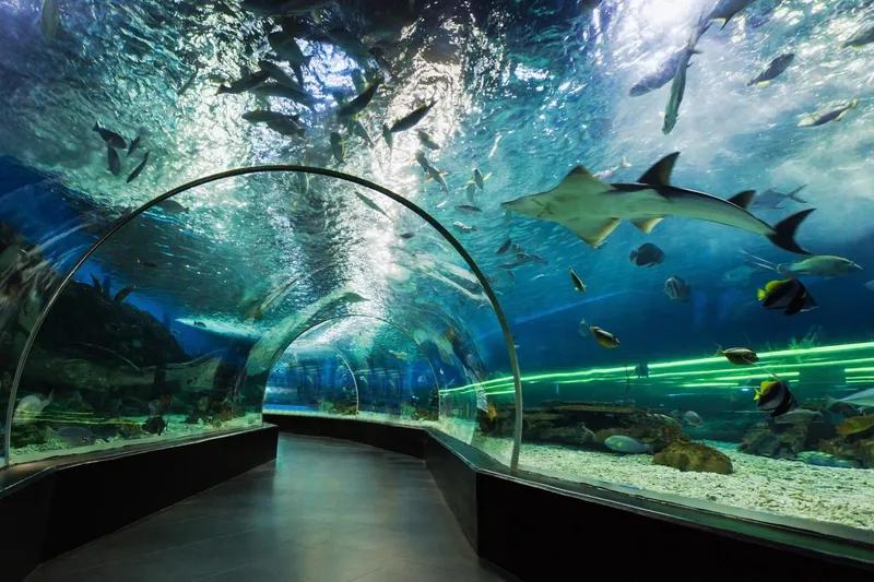 The underwater tunnel in the oceanarium of the Manila Ocean Park