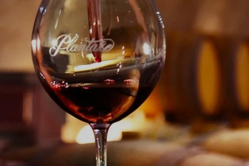 Red wine in a glass served at the Šipčanik wine cellar by wine company 13. jul-Plantaže