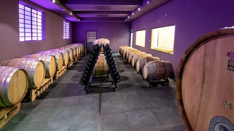 The aging cellar of the Consorzio Vini Tipici San Marino 