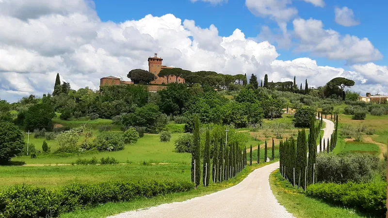 The cypress trees on the sides of road going up the hill leading to a Tuscany hamlet