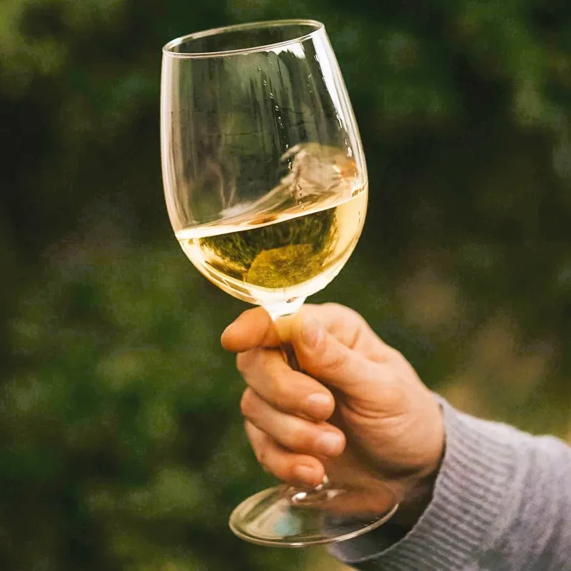 Hand holding a glass of Roncale white wine from San Marino